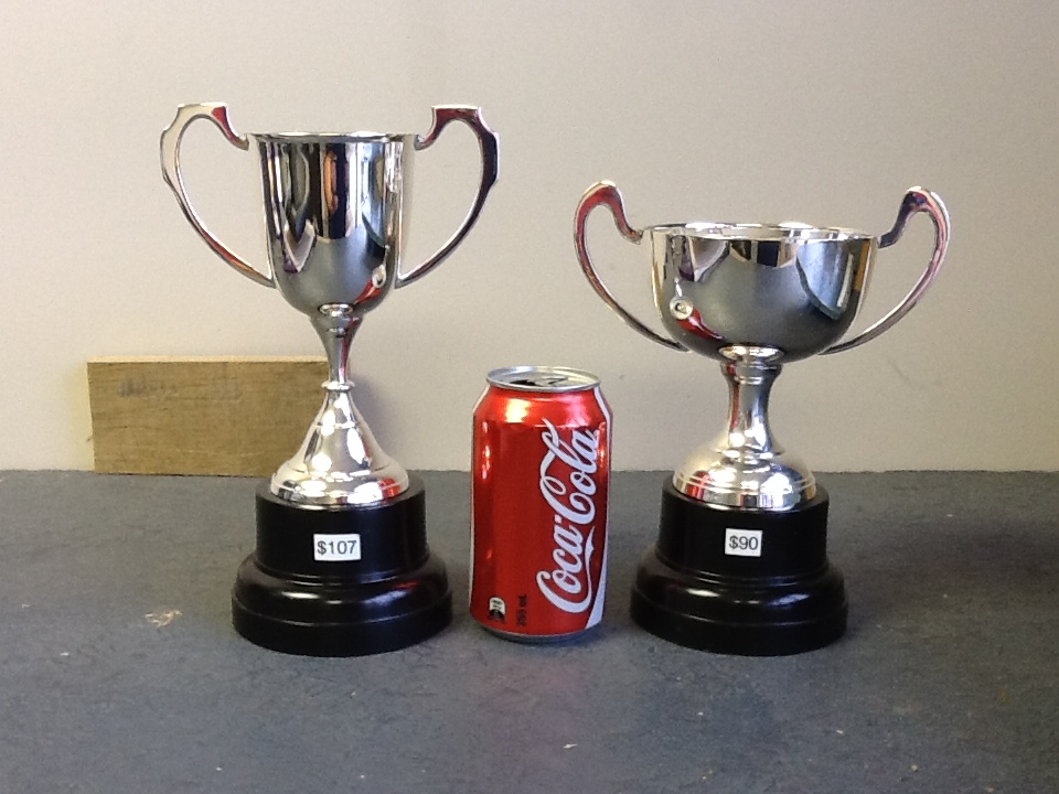 Silver Cups Epic Engraving